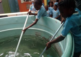 2023 WGS FISH POND VISIT